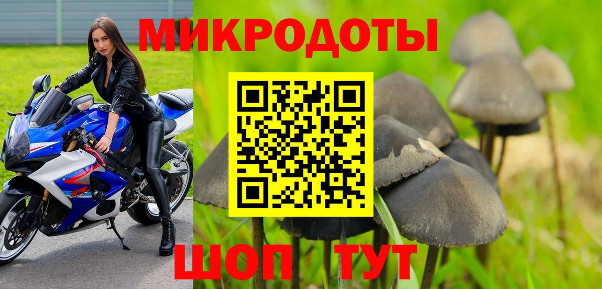 Каспийск  Галлюциногенные грибы Magic Shrooms  Вход с VPN 